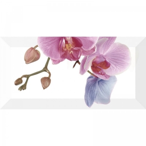 Декор Orchidea 4