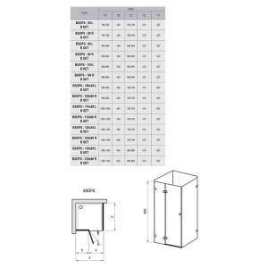 Душові двері BSDPS-120/90 R