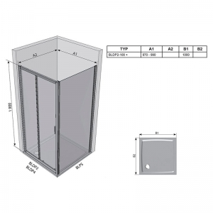 Душевая дверь BLDP 2-100 Transparent+сатиновый