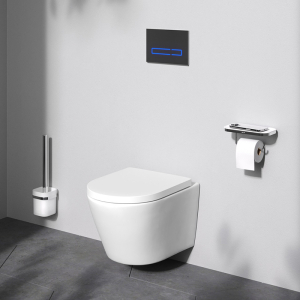 Чаша унитаза Flash Aquaspin с сиденьем