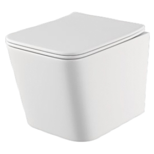 Чаша унитаза Borneo Rimless с сиденьем