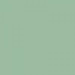 Затирка Supercolour 160