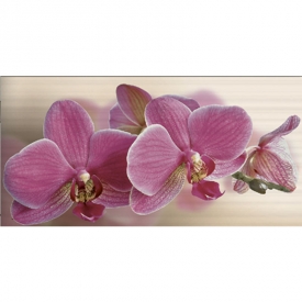 Декор Fresia Orchidea