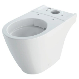 Чаша унитаза iCon Rimfree