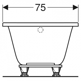 Ванна Selnova 170x75 с ножками