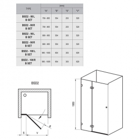 Душові двері BSD 2-100 A-R