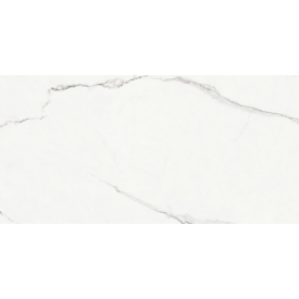 Кахель Ginevra White Glossy Rect