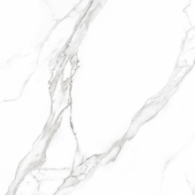 Грес Carrara White F P R Mat