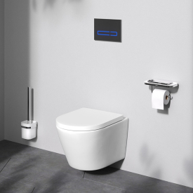 Чаша унитаза Flash Aquaspin с сиденьем