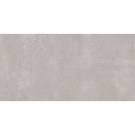 Кахель Chicago Grey W M NR Mat