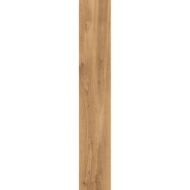 Грес Madera Gold PR R Mat