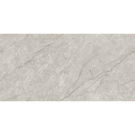 Грес Absolute Grey Endless