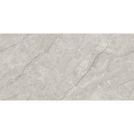 Грес Absolute Grey Endless