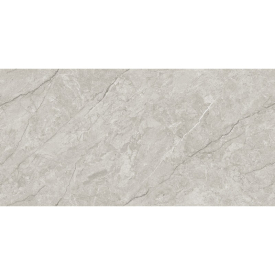 Грес Absolute Grey Endless Car