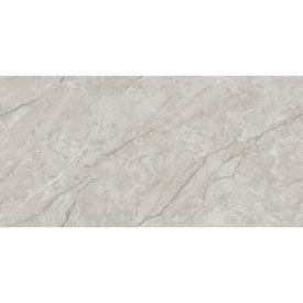 Грес Absolute Grey Endless Car