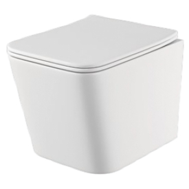 Чаша унитаза Borneo Rimless с сиденьем