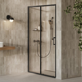 Душевые двери XPSDP2-120 Transparent+черный